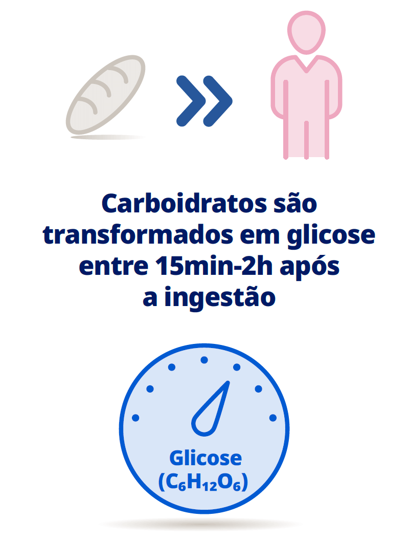 ilustração com pão, seta em direção a figura humana e medidor de glicose, acompanhada do texto: carboidratos são transformados em glicose entre 15 minutos e 2 horas após a ingestão (Glicose C6H12O6).