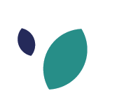 Ilustração com duas folhas, uma verde e outra azul