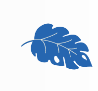 Desenho ilustrativo de uma folha azul